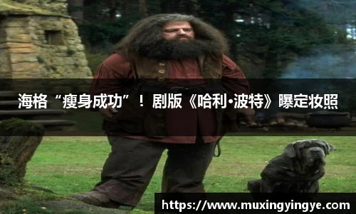 NG28相信品牌力量