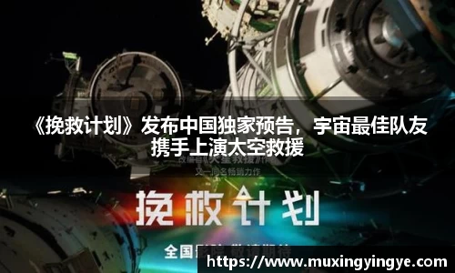 NG28相信品牌力量